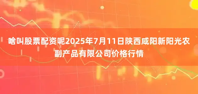 啥叫股票配资呢2025年7月11日陕西咸阳新阳光农副产品有限公司价格行情