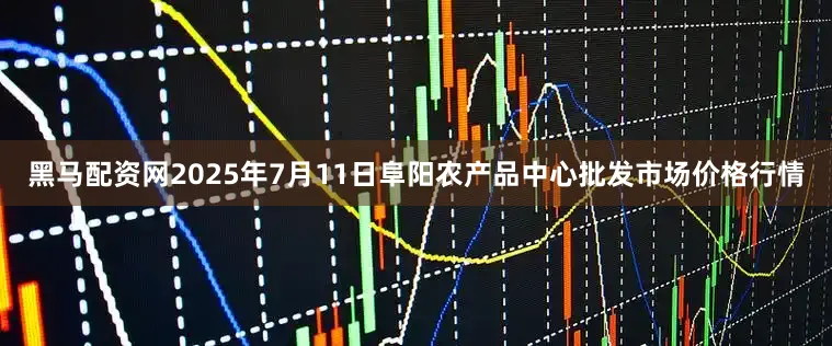 黑马配资网2025年7月11日阜阳农产品中心批发市场价格行情