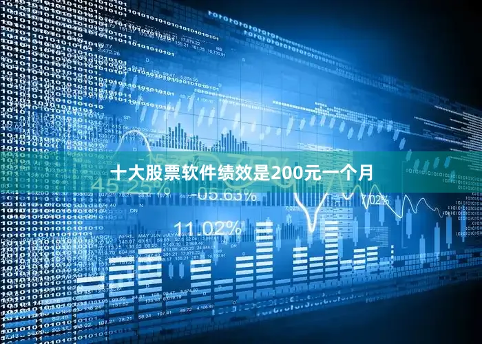 十大股票软件绩效是200元一个月