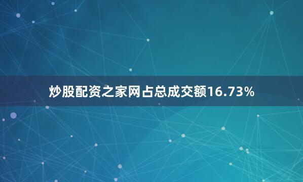 炒股配资之家网占总成交额16.73%