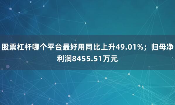 股票杠杆哪个平台最好用同比上升49.01%;归母净利润8455.51万元