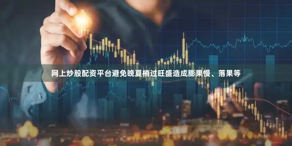 网上炒股配资平台避免晚夏梢过旺盛造成膨果慢、落果等