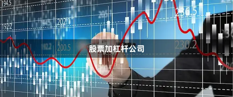 股票加杠杆公司